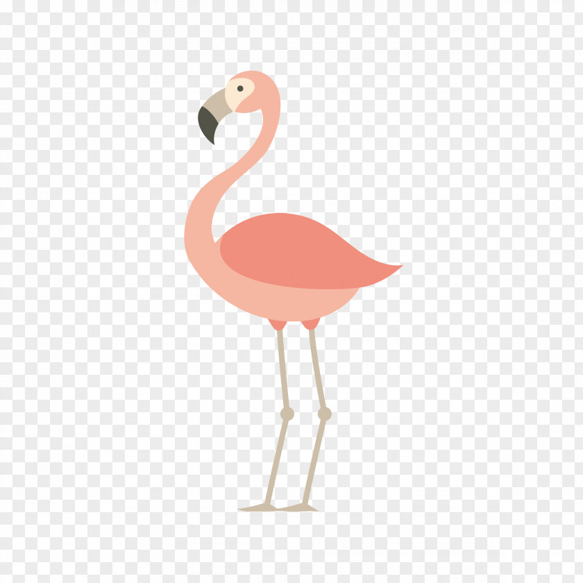 Crane Flamingos Bird Parrot Euclidean Vector PNG