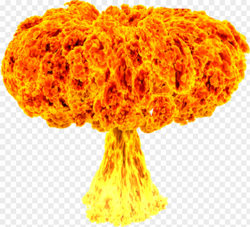 Explosion Flame Nuclear Weapon GIF PNG