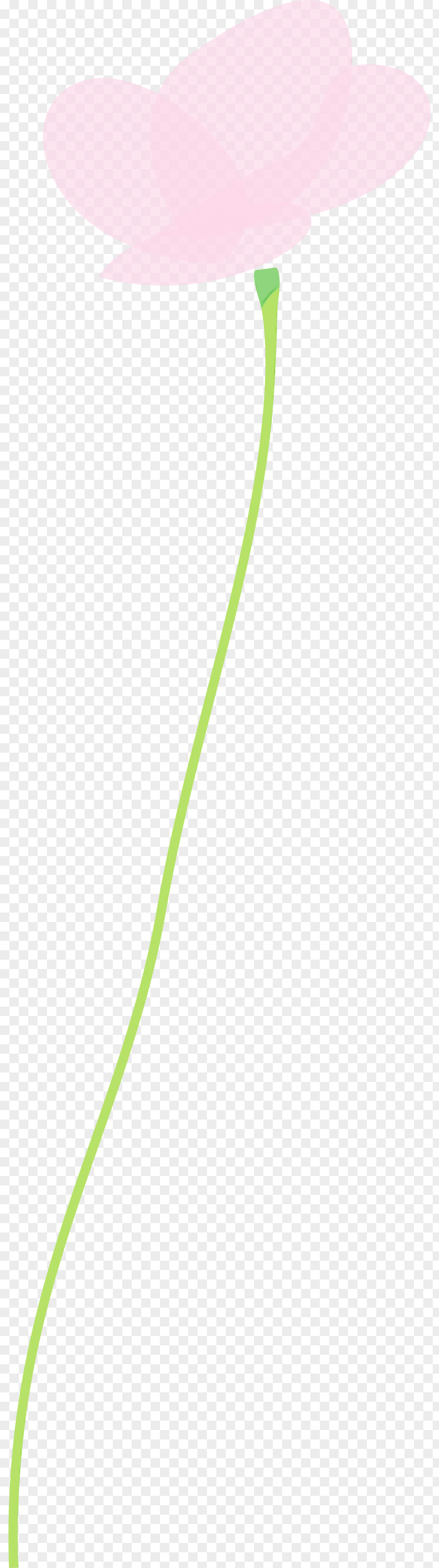 Green Leaf Line Plant Stem PNG