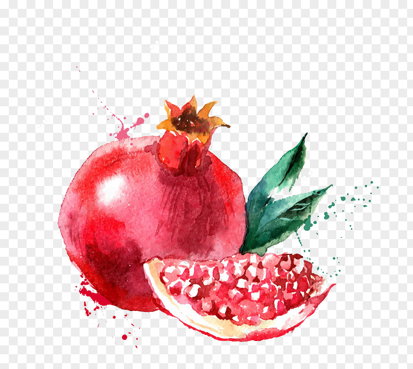 Hand-painted Pomegranate Watercolor Painting Fruit Drawing Illustration PNG