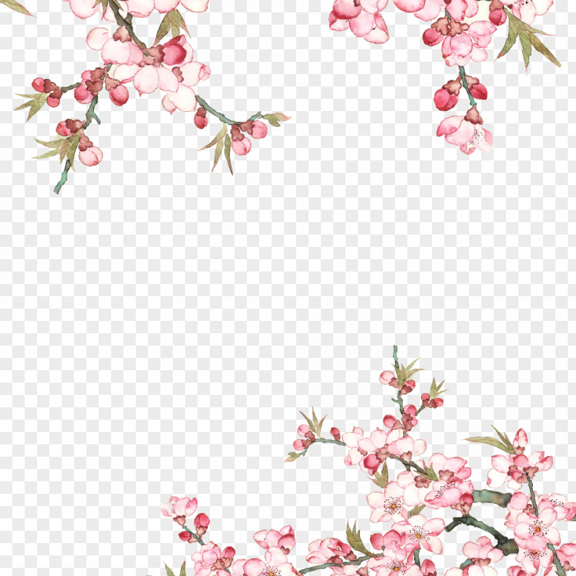 Peach Blossom Cherry Image Vector Graphics Poster PNG
