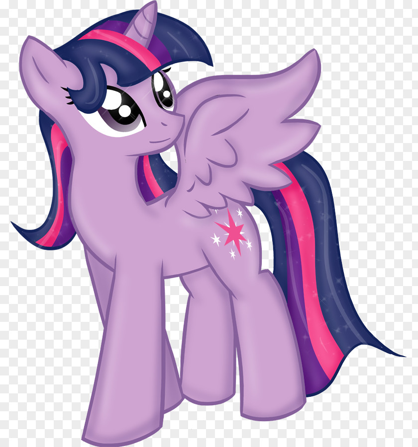 Purple Princess Pony Twilight Sparkle Pinkie Pie Rarity Applejack PNG