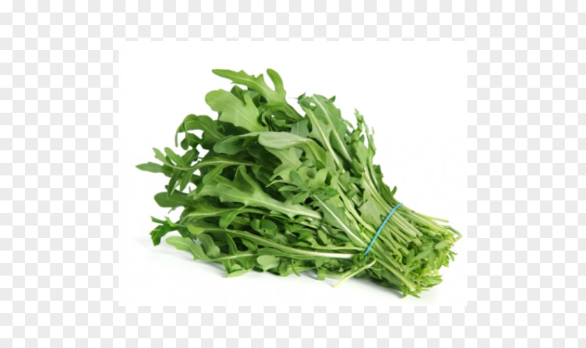 Rucola Sowing Market Garden Cultivar Crop PNG