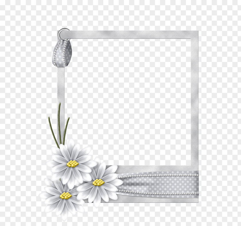 Flower Borders And Frames Picture Clip Art Decorative Arts PNG