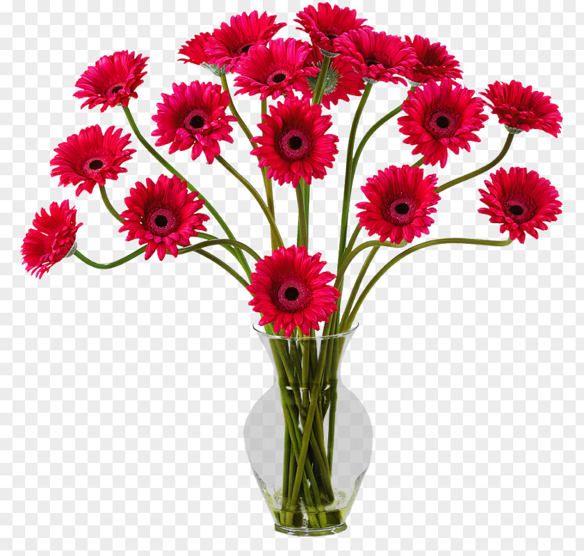 Flower Transvaal Daisy Artificial Blume Bouquet PNG