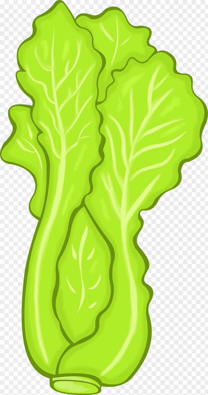 Lettuce Vegetarian Cuisine Vegetable Food Clip Art PNG