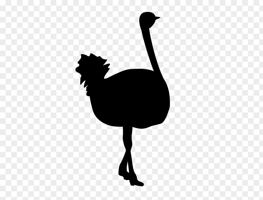 Resolution Common Ostrich Goose Flightless Bird Silhouette Animal PNG