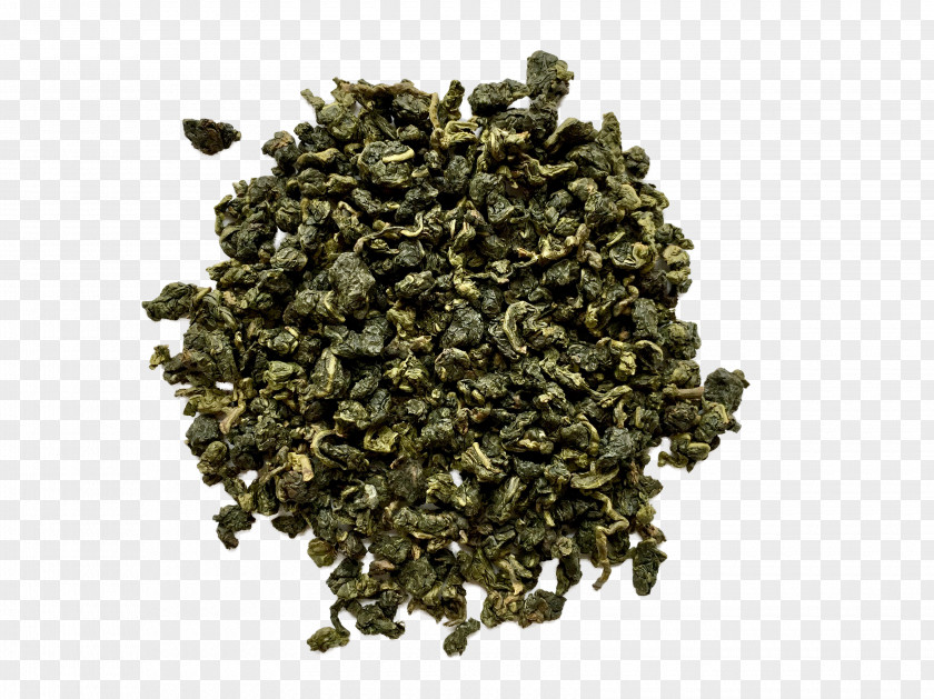 Tea Tieguanyin Nilgiri Oolong Assam PNG