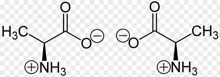 Amino Acid Alanine Zwitterion Amine Cysteine PNG