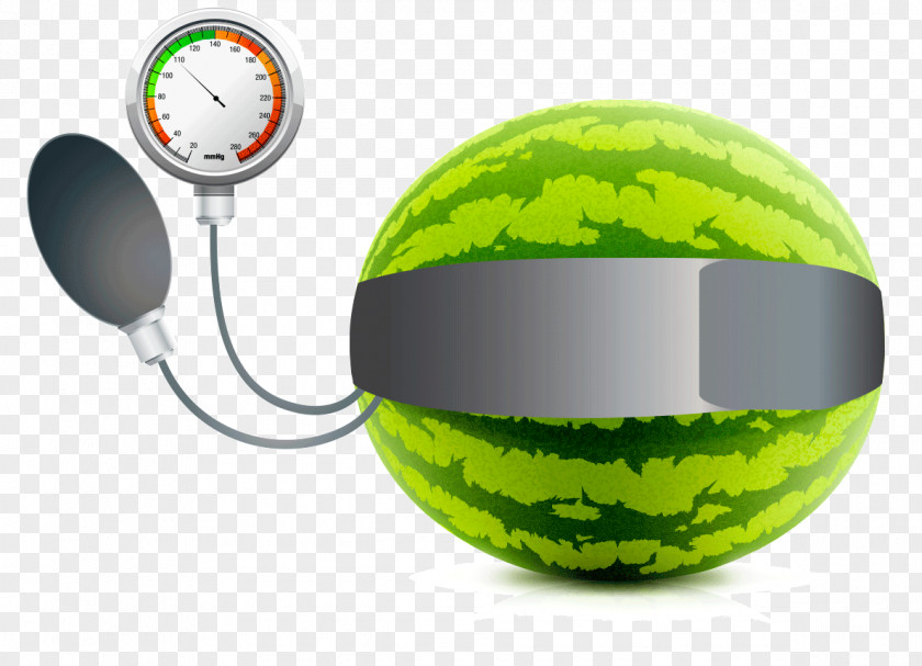 Garlic Blood Pressure Watermelon Extract Vector Graphics Illustration Drawing PNG