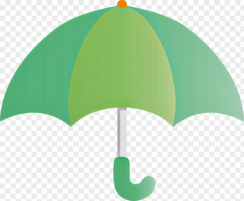 Green Umbrella Turquoise Leaf Plant PNG