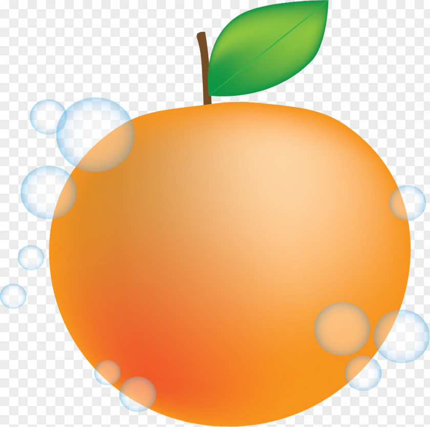 Juicy Peach Mandarin Orange Animation Clip Art PNG