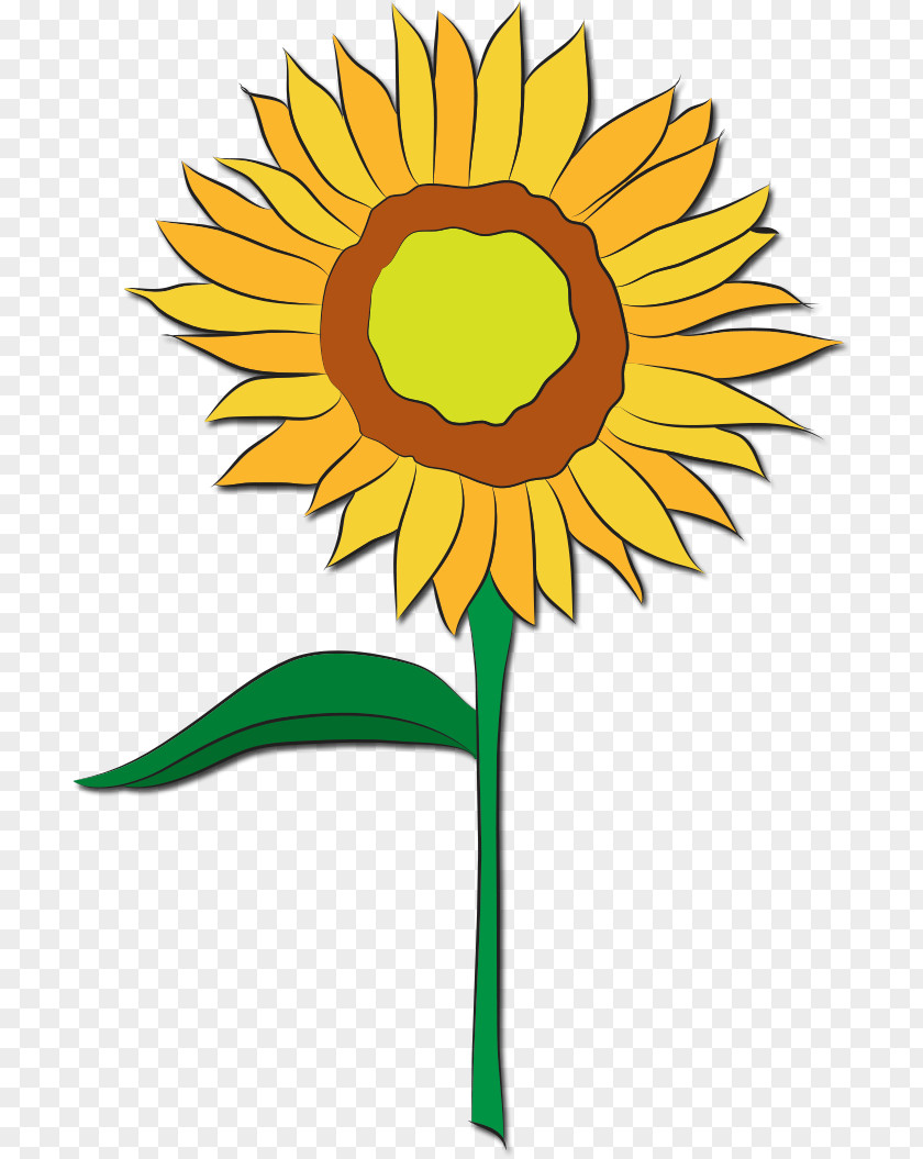 Leaf Common Sunflower Floral Design Cut Flowers Seed Clip Art PNG