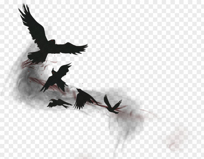 League Of Legends Crow Bird Common Raven PNG