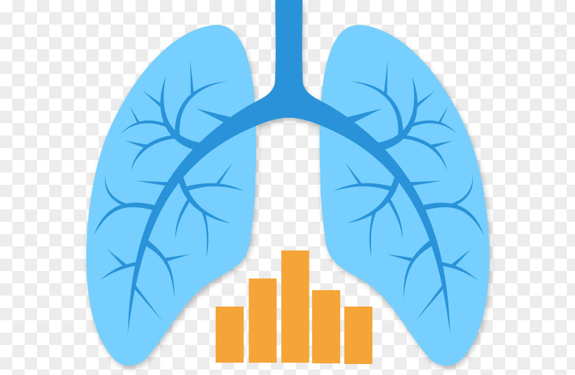 Lungs Lung Transplantation Mesothelioma PNG