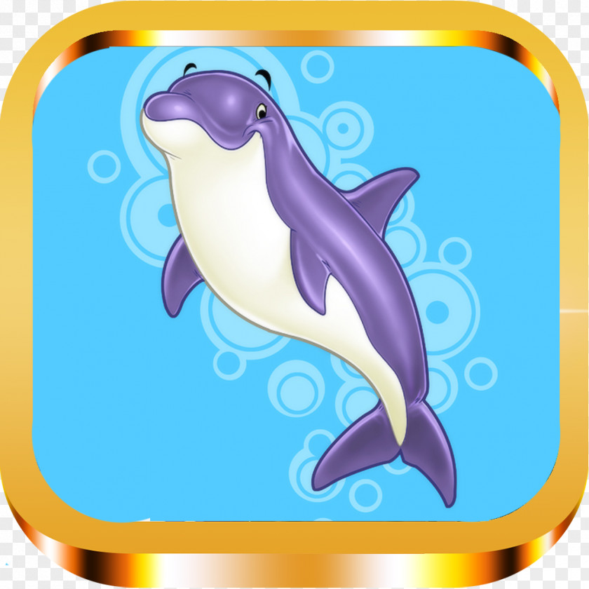 Penguin Common Bottlenose Dolphin Tucuxi Clip Art PNG