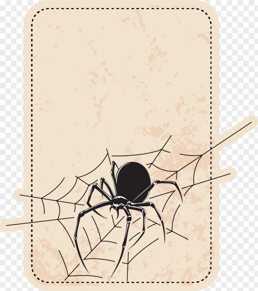 Spider Border Icon PNG