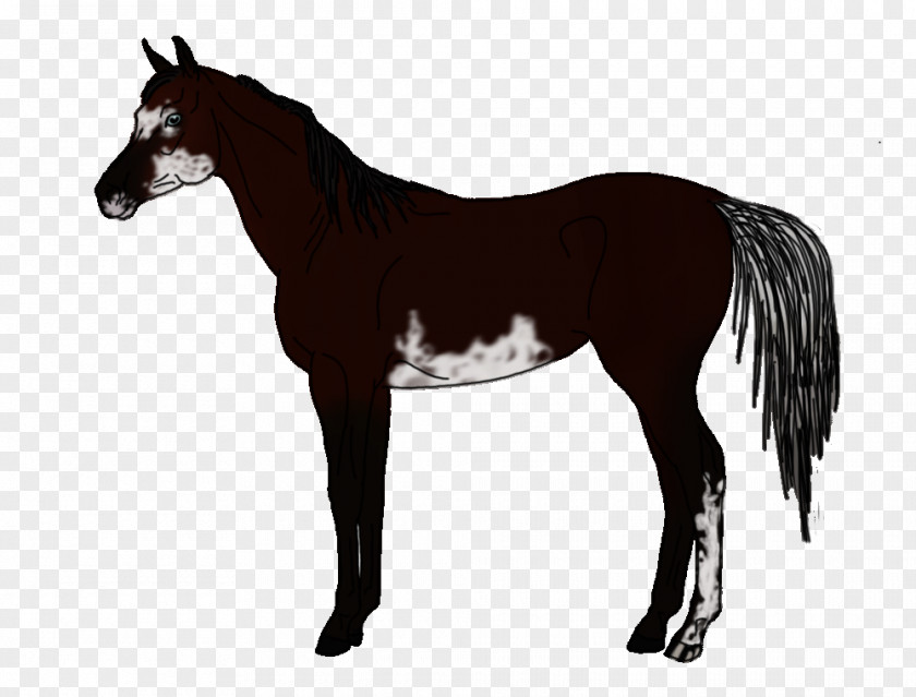 Angry Bull American Quarter Horse Arabian Friesian Thoroughbred Stallion PNG