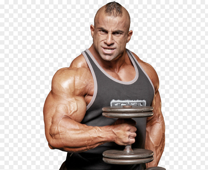 Bodybuilding Fouad Abiad Dietary Supplement Muscle PNG