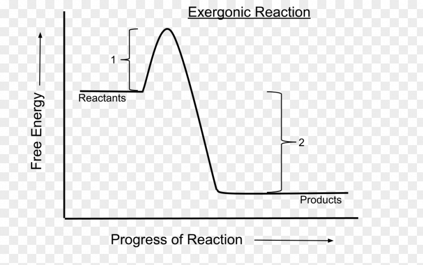 Energy Exergonic Reaction Endergonic Chemical Process Activation PNG