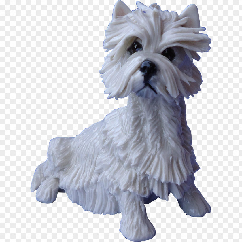 Puppy Cairn Terrier West Highland White Maltese Dog Affenpinscher Boston PNG