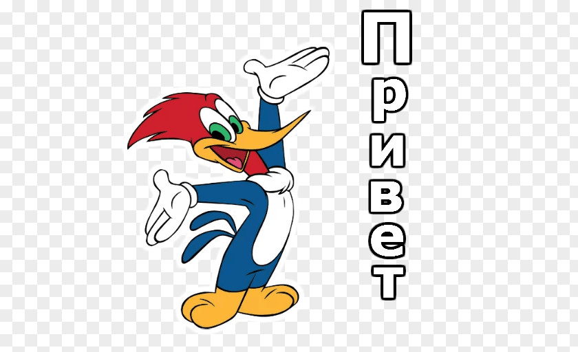 Woody Woodpecker Cartoon Vector Graphics Image PNG