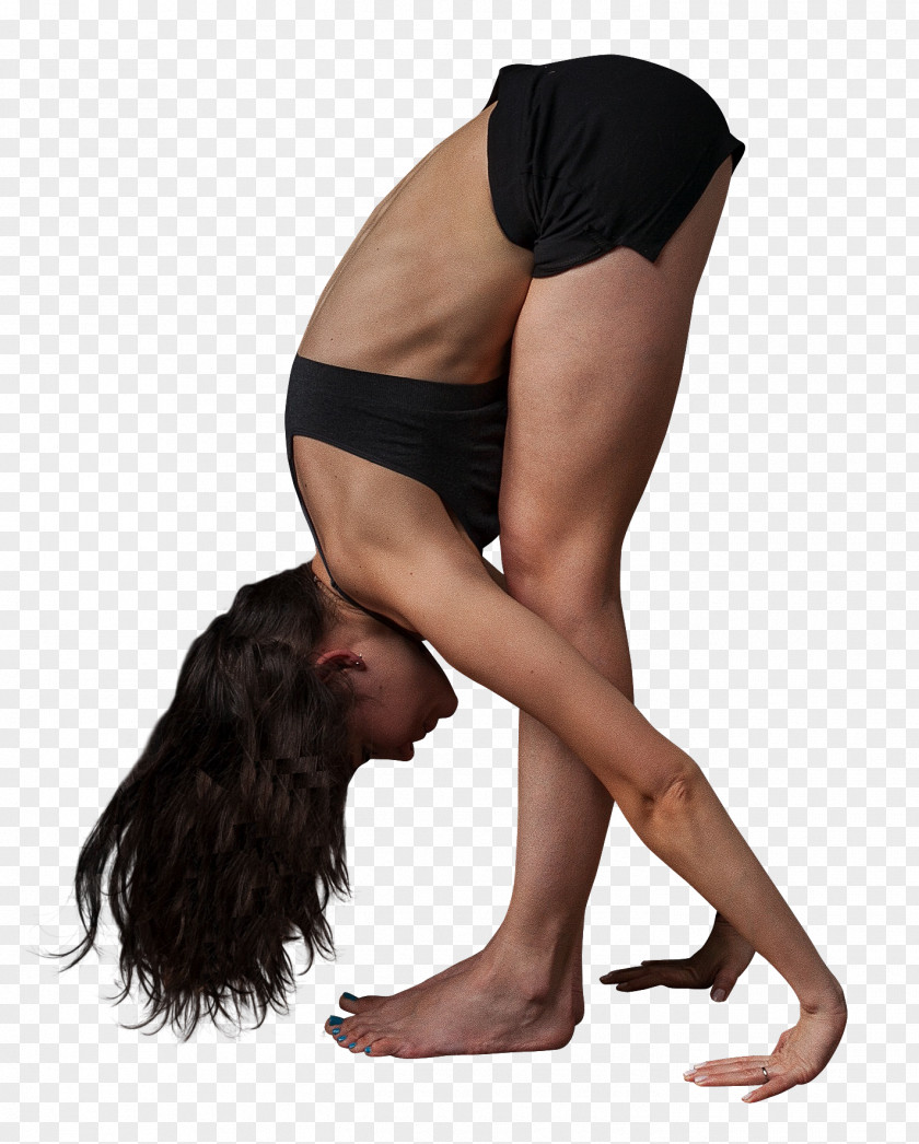 Yoga Physical Exercise PNG