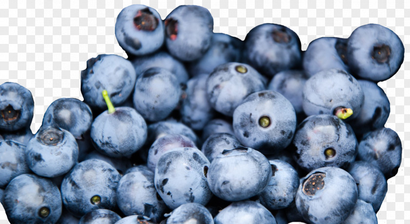 Blueberries Blueberry Bee Nutrition Fruit Food PNG