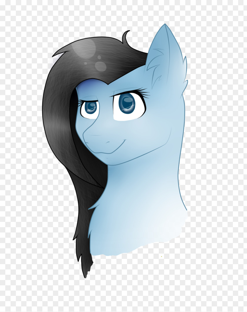 Cat Whiskers Horse Snout PNG