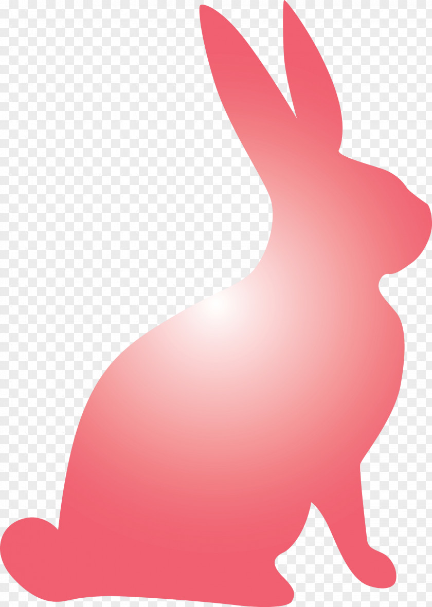 Easter Bunny Day Rabbit PNG