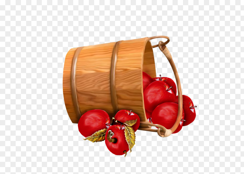 Persimmon Red Bucket Apple Basket Clip Art PNG
