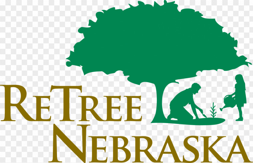 Tree Trees & Shrubs Planting Nursery PNG