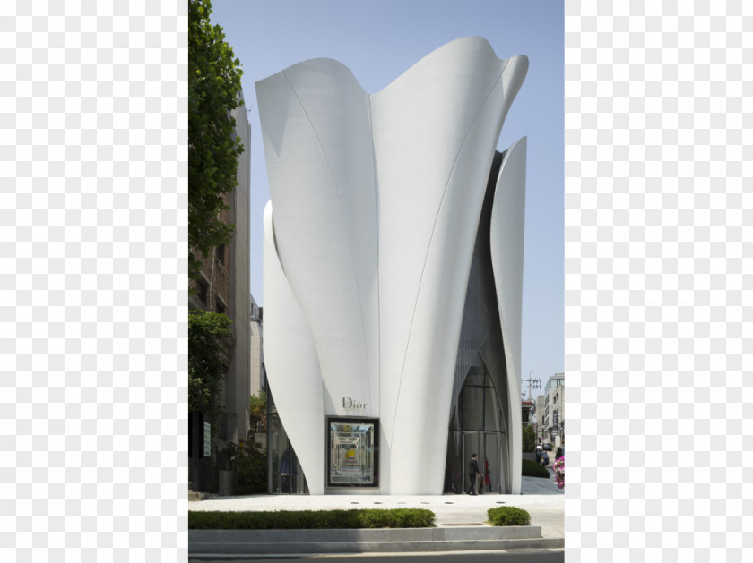 Aircraft Design Cheongdam-dong Apgujeong-dong Christian Dior SE Building Architect PNG