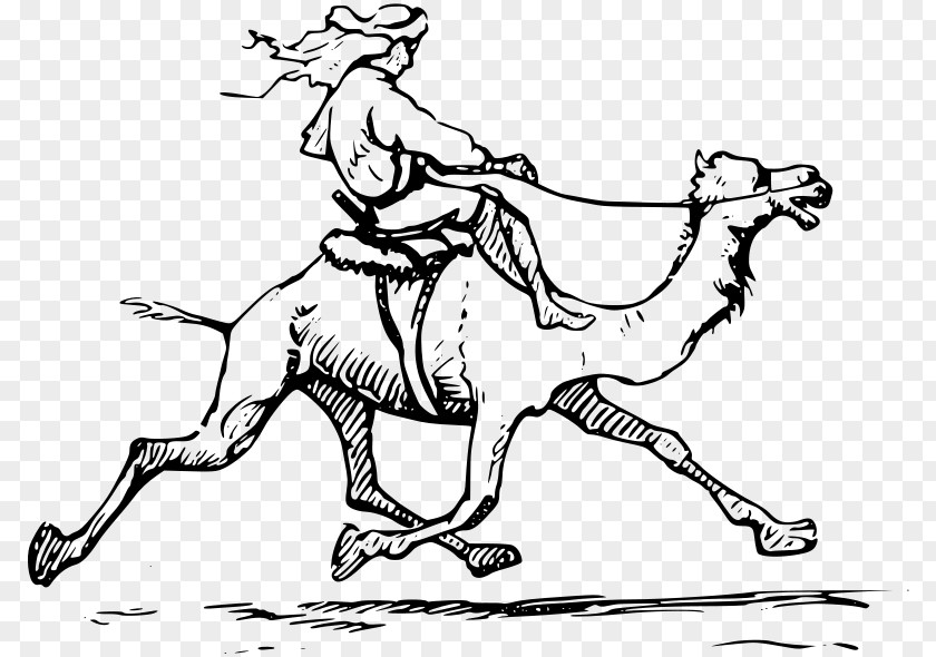 Camel Drawing Pictured Palestine Clip Art PNG