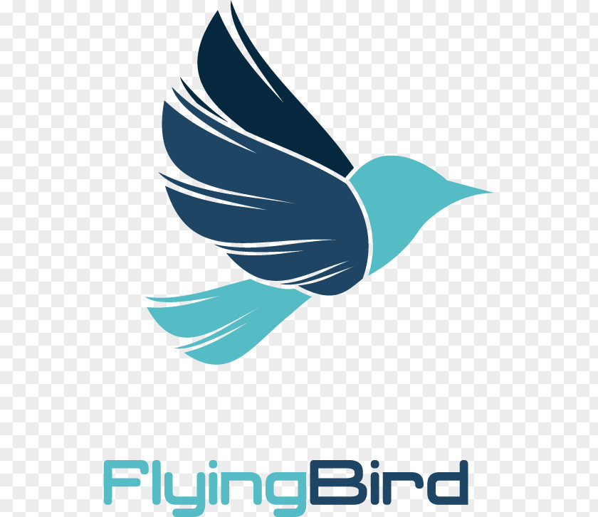 Creative Logo Bird PNG
