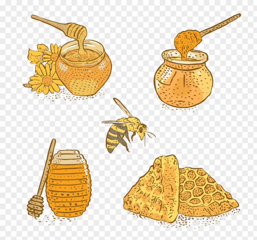 Painted Yellow Bee Material Honey Sugar Download PNG