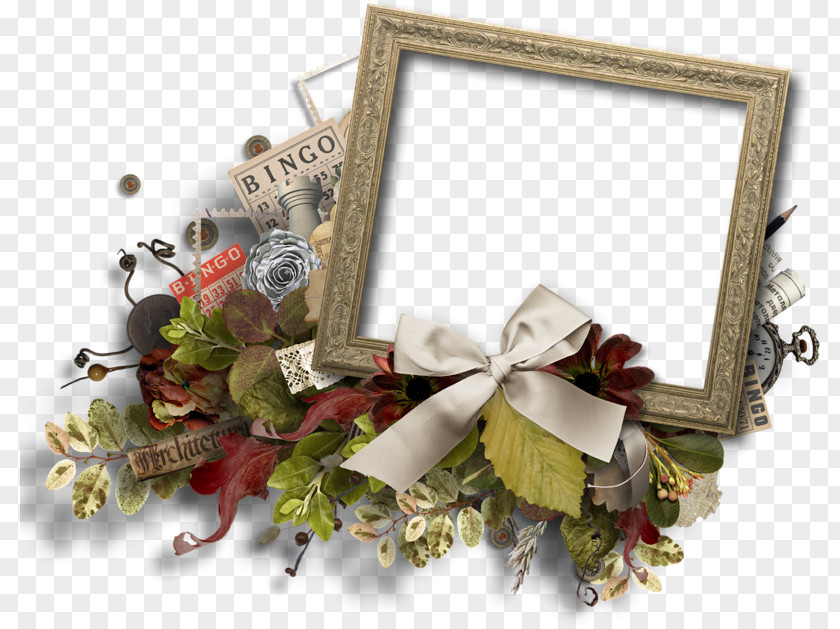 Picture Frames Photography PNG