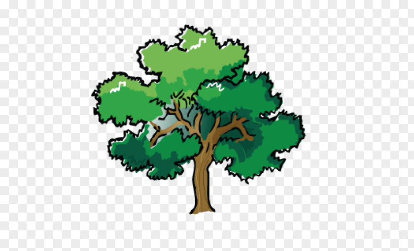 Tree Cartoon St Joseph's RC Primary School Strunk Service, Inc. Reading Plants PNG