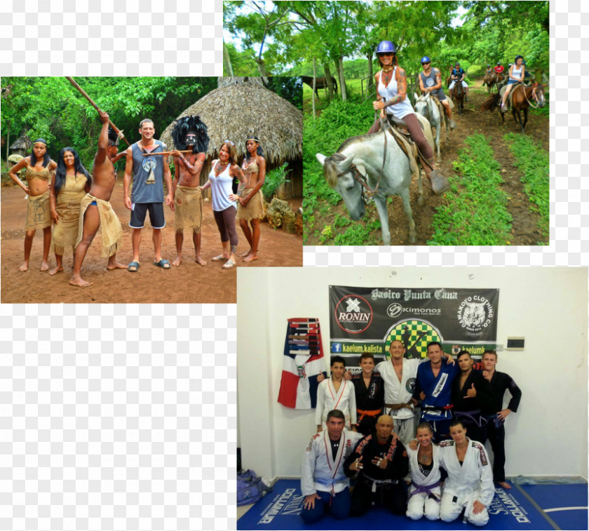 Dominican Republic Weather April Horse Gracie Jiu Jitsu Carlsbad Train Open Arms Leisure PNG