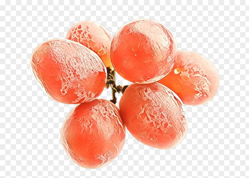 Plant Fruit Grape Cartoon PNG