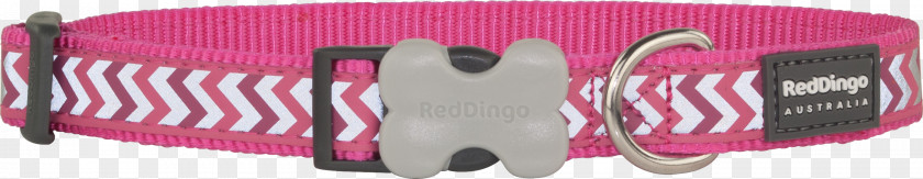 Dog Dingo Pet Collar Leash PNG