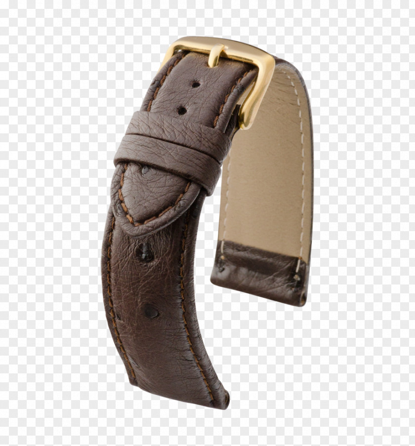 Belt Watch Strap Clothing Accessories PNG