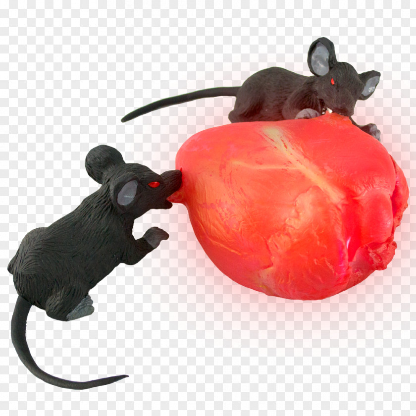 Rat & Mouse Pest Snout Animal PNG