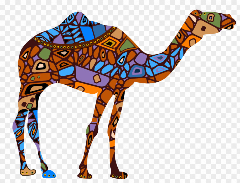 Tenere Pattern Dromedary Stock Illustration Vector Graphics Camel Train PNG
