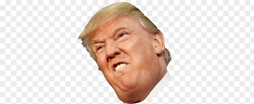 Angry Side Face Trump PNG Trump, Donald clipart PNG