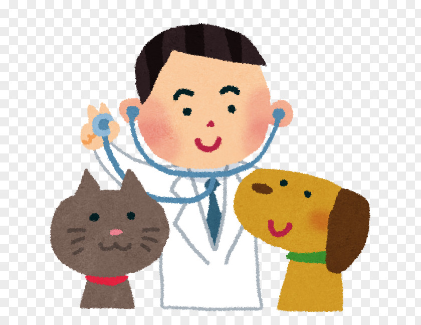 Cat Hongojuika Clinic Veterinarian Veterinary Medicine 診療 PNG