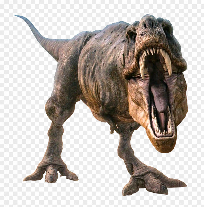 Dinosaur Adocus 3D Computer Graphics PNG