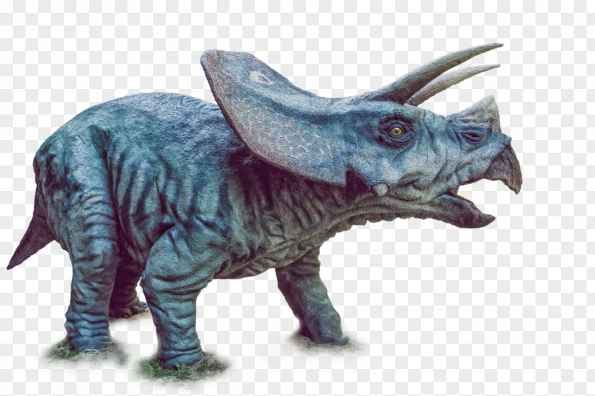 Dinosaur Triceratops Tyrannosaurus Spinosaurus Dinosaurs Pack Late Cretaceous PNG