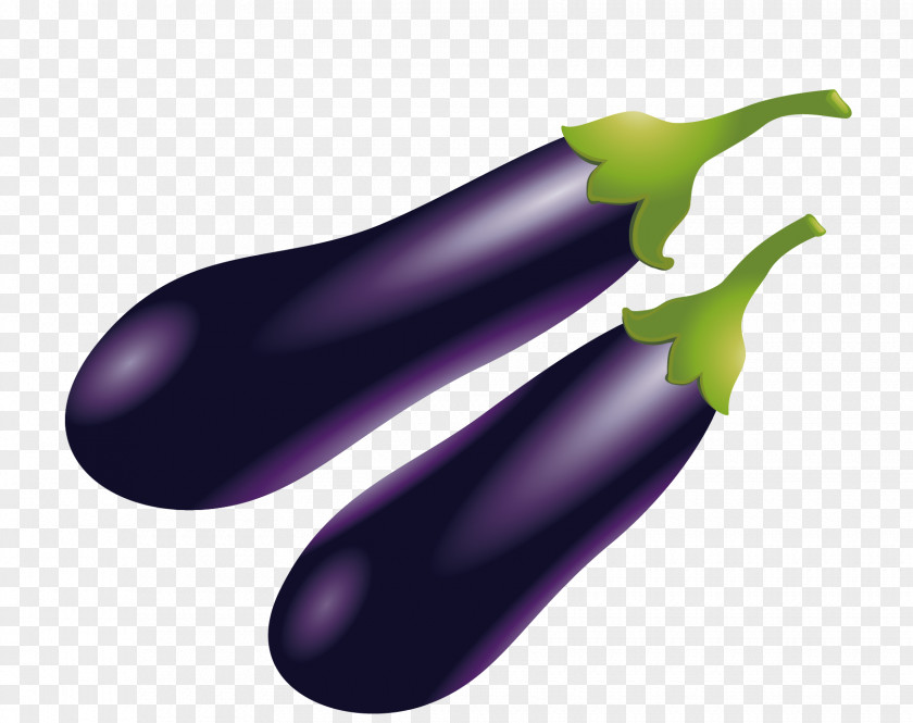 Eggplant Vector Download PNG