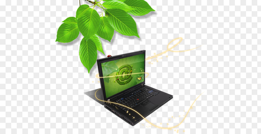 Green Leaves Foliage Computer Text Multimedia Technology PNG